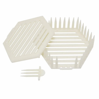 10 Pcs Beekeepers Hexagon Crown Of Thorns Needle Cage Queen King Prisoner Pinned Type Cage Beekeeping Tools