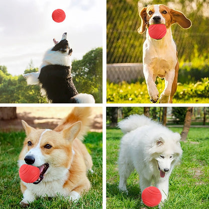 Toy Ball Golden Retriever Teddy Self-Hi Relieving Stuffy Solid Dog