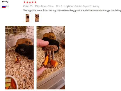 New Hamster Roller Toys Natural Wooden Pine Dumbells Unicycle Bell Chew Toys for Rabbit Small Pet Molars Supplies
