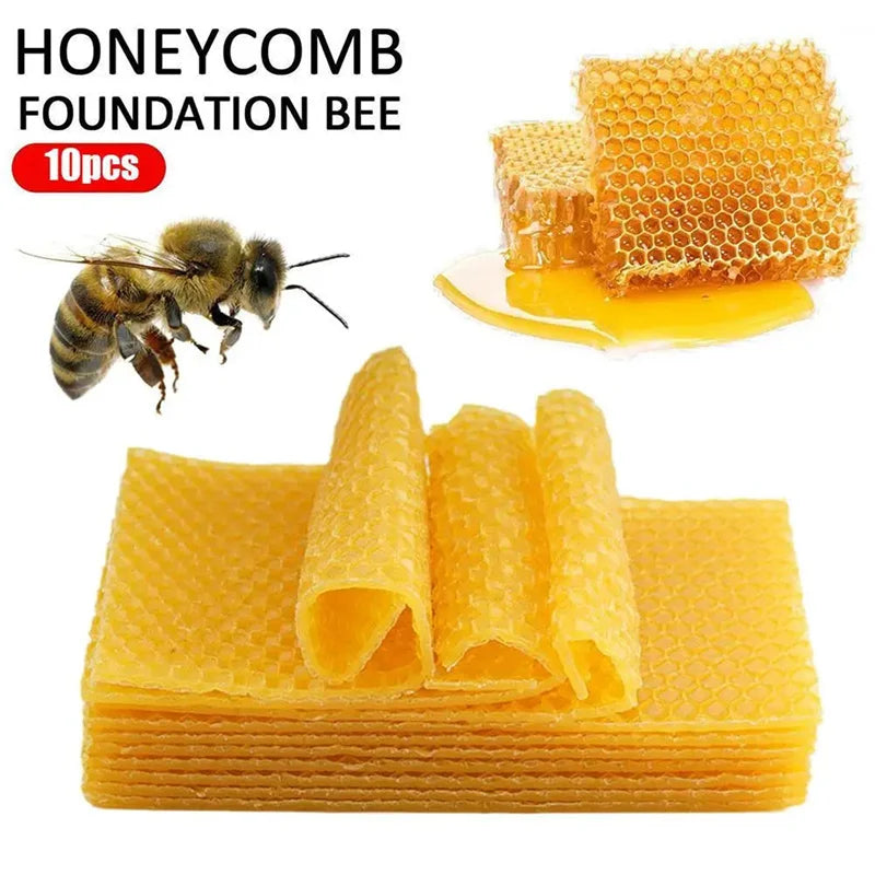 10PCS Beeswax Honeycomb Beekeeping Tools Beehive Help Bees To Make Nests Practical Beeswax Durable Beehive Flake
