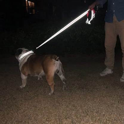 Reflective Pet Harness Leash