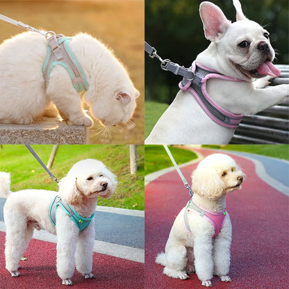 Adjustable Cat Dog Harness Leash Set