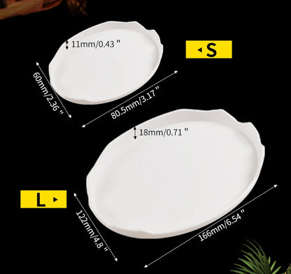 Reptile Food Bowl, Water Bowl, Eggshell Shape for Turtles, Lizards, Geckos, Bearded Dragons and Other Amphibians