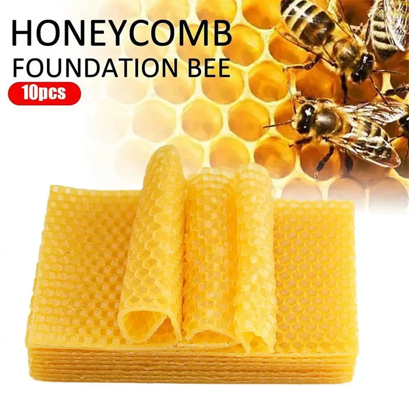 10PCS Beeswax Honeycomb Beekeeping Tools Beehive Help Bees To Make Nests Practical Beeswax Durable Beehive Flake