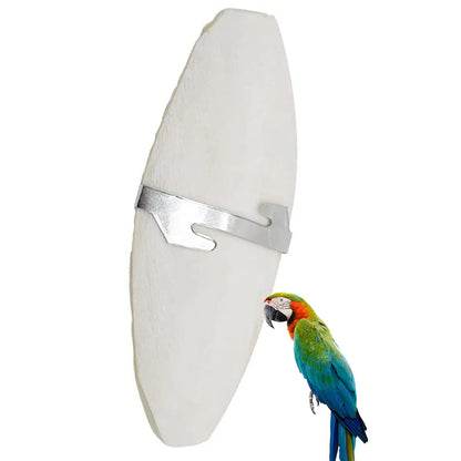 10pcs Cuttlebone For Parakeet Parrot Chewing Cuttle Bone For Sharp Beaks Cuttlefish Bone With Holder For Budgies Cockatiels
