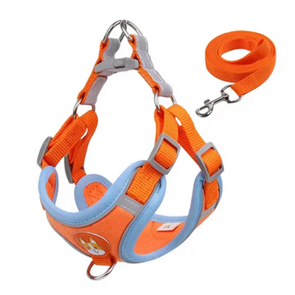 Adjustable Dog Harness Leash Set
