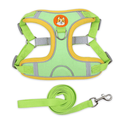Adjustable Dog Harness Leash Set