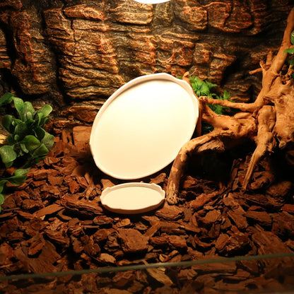 Reptile Food Bowl, Water Bowl, Eggshell Shape for Turtles, Lizards, Geckos, Bearded Dragons and Other Amphibians