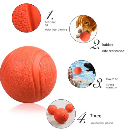Toy Ball Golden Retriever Teddy Self-Hi Relieving Stuffy Solid Dog