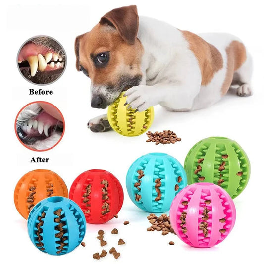 Interactive Rubber Dog Toy Ball