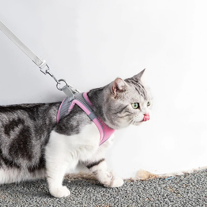 Adjustable Cat Dog Harness Leash Set