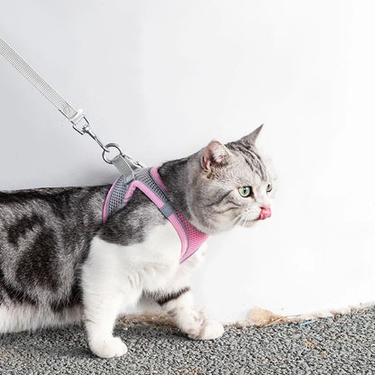Adjustable Cat Dog Harness Leash Set