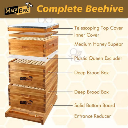 10-Frame Langstroth Beehive Dipped in 100% Beeswax, Complete Bee Hives and Supplies Starter Kit Includes 2 Deep Hive Bee Box