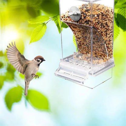 Mess Bird Feeders Automatic Parrot Feeder Drinker Acrylic Seed Food Container Cage Accessories  Small And Medium Parakeets