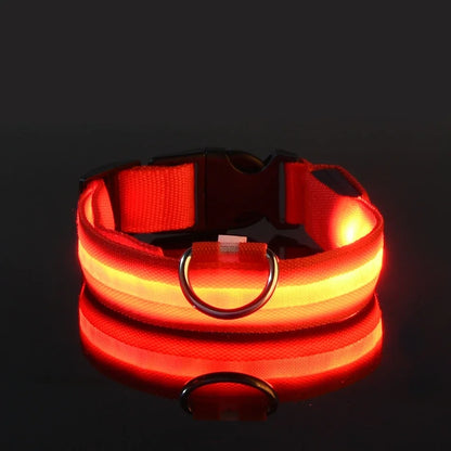 LED Nylon Collar