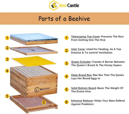 10-Frame Bee Hives and Supplies Starter Kit,Beehive Kit Dipped in 100% Beeswax,Bee Keeping Supplies-all Beginners Kit