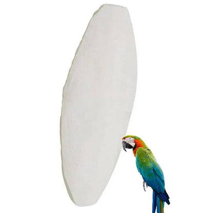 Bird Cuttlebone Parakeet 10pcs Cuttlefish Bone Chew Toy For Parakeets And Other Birds Natural Cuddlefish Bones Bird Bites