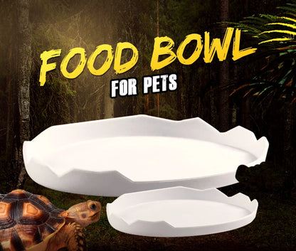 Reptile Food Bowl, Water Bowl, Eggshell Shape for Turtles, Lizards, Geckos, Bearded Dragons and Other Amphibians