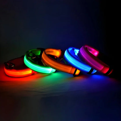 LED Nylon Collar