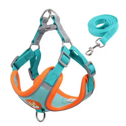 Adjustable Dog Harness Leash Set