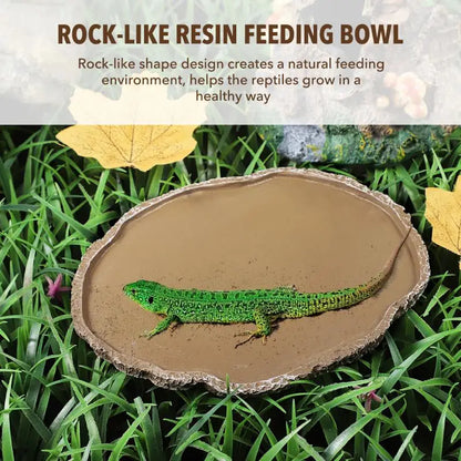 Pets Feeding Plate Reptile Bowl Turtle Gecko Snake Breeding Tray Resin Vivarium Food Water Dish Fogger