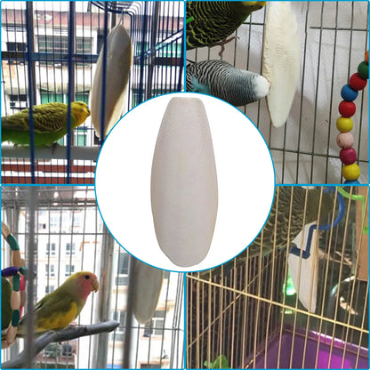 10pcs Cuttlebone For Parakeet Parrot Chewing Cuttle Bone For Sharp Beaks Cuttlefish Bone With Holder For Budgies Cockatiels
