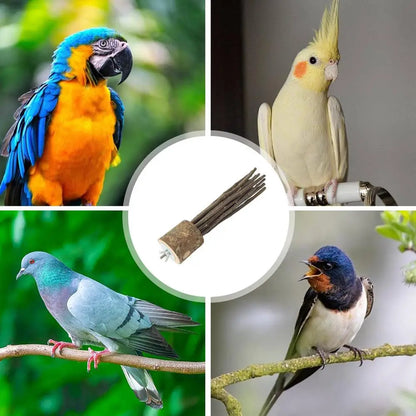 wooden parrot stand pole perch wood natural tree branch bird stand beak and claw grinding parrot toys birdcage decoration pets