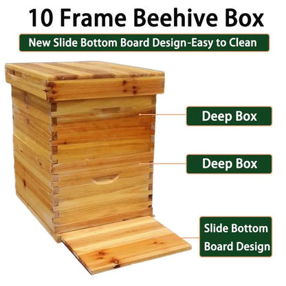 Beekeeping Supplies 10-Frame Starter Kit Tools Jacket XXL Bee Hive Ventilated Beginners Kit