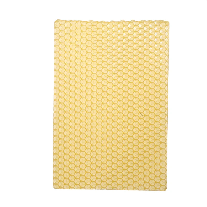 10PCS Beeswax Honeycomb Beekeeping Tools Beehive Help Bees To Make Nests Practical Beeswax Durable Beehive Flake