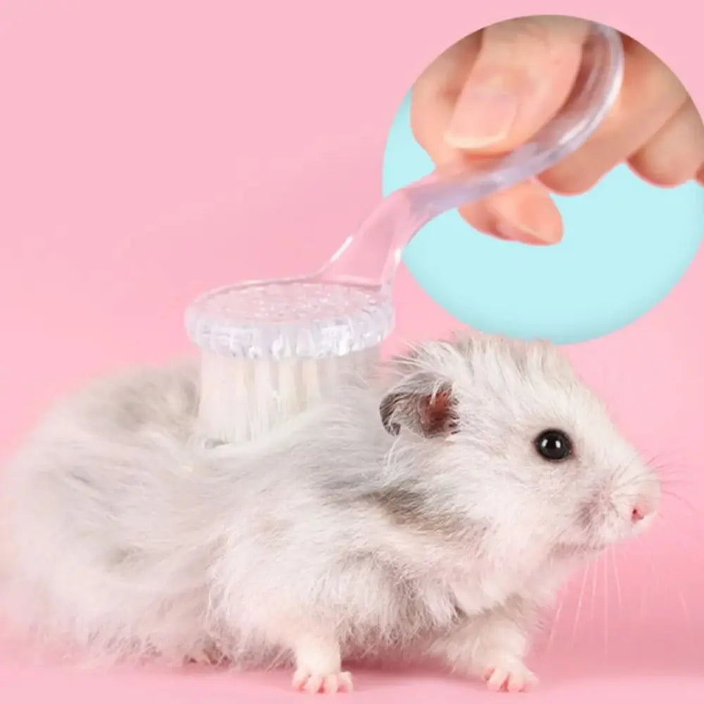 Long Hair Small Hamster Brush Plastic Round Head Guinea Pig Massage Combs Soft Bath Mini Brush Golden Bear Cleaning Comb