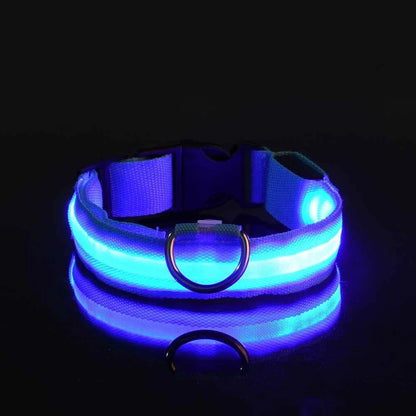 LED Nylon Collar