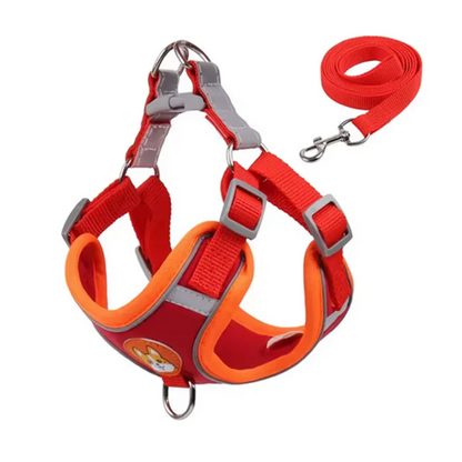 Adjustable Dog Harness Leash Set