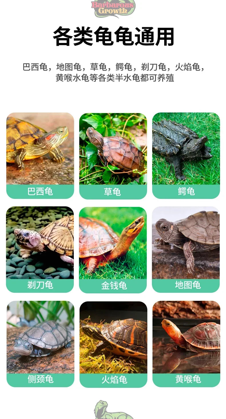 Plastic Transparent Turtle Tank House with Areas To Breed Feed Swim Bask Indoor Enclosure Water Turtles Cage Reptile Habitat