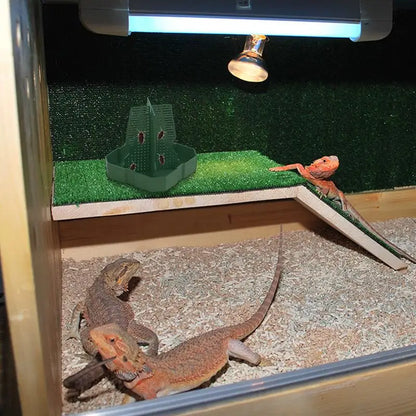 Bearded Dragon Feeder Chameleon Feeder Tank And Aquarium Accessories Professional Live Worm Organizer Anti-Escape Superworm