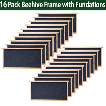 Beekeeping Supplies 10-Frame Starter Kit Tools Jacket XXL Bee Hive Ventilated Beginners Kit