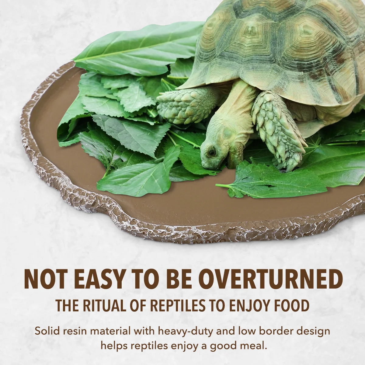 Pets Feeding Plate Reptile Bowl Turtle Gecko Snake Breeding Tray Resin Vivarium Food Water Dish Fogger