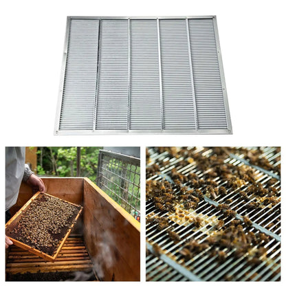 2x Queen Excluders Stainless Steel Wooden Beehives Equipment Beekeeping Tool for