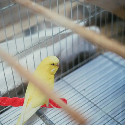 Parrot Claw Grinding Stick Wooden Stick Bird Perching Sand Parakeet Grinding Bar Teeth Bite Toy Pet Bird Chew Toy Parrot Cage