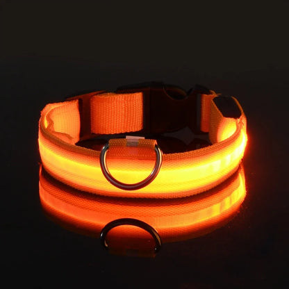 LED Nylon Collar