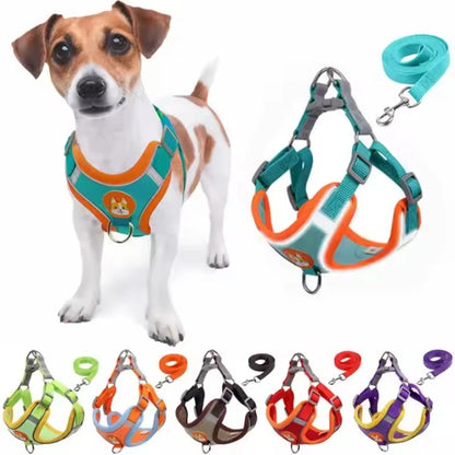 Adjustable Dog Harness Leash Set