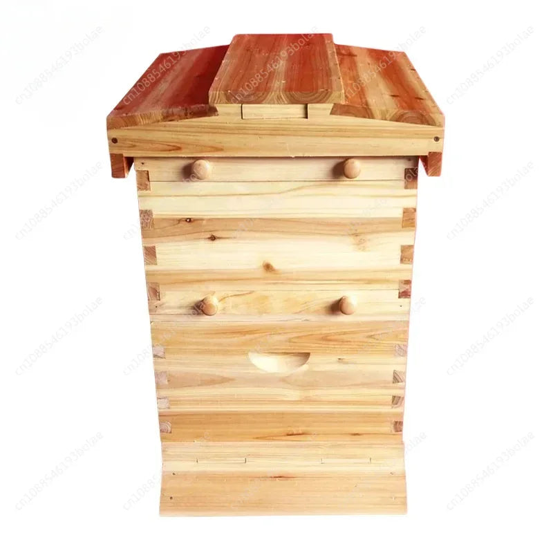 Golden Automatic Hive 2 Beehive 7Pcs Box Flows Frame