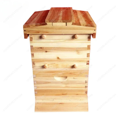 Golden Automatic Hive 2 Beehive 7Pcs Box Flows Frame