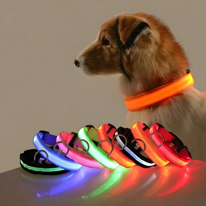LED Nylon Collar