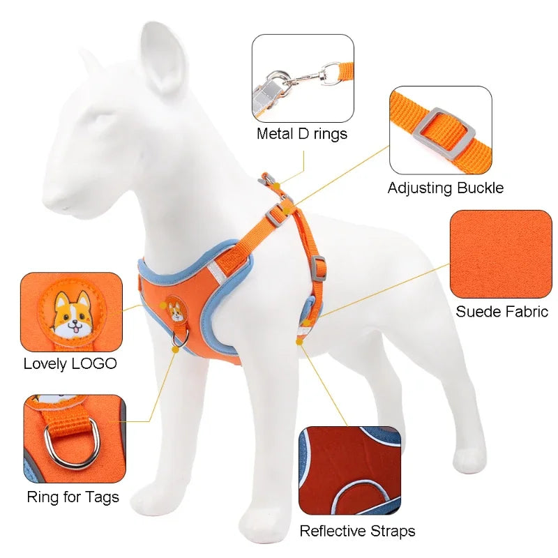 Adjustable Dog Harness Leash Set