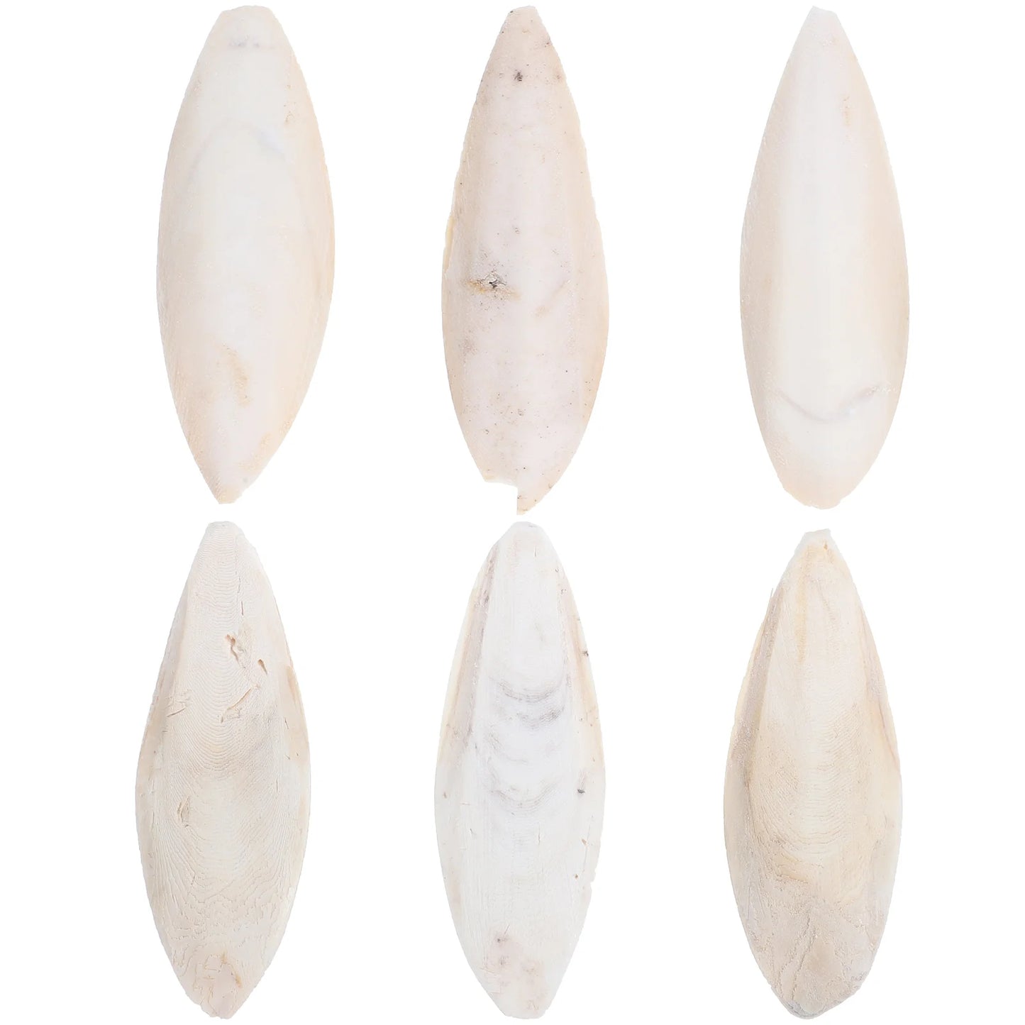 6 Pcs Bird Chewing Cuttlefish Bone Gnawing Cuttlebone Bird Cage Accessories Natural Cuttlebone for Birds