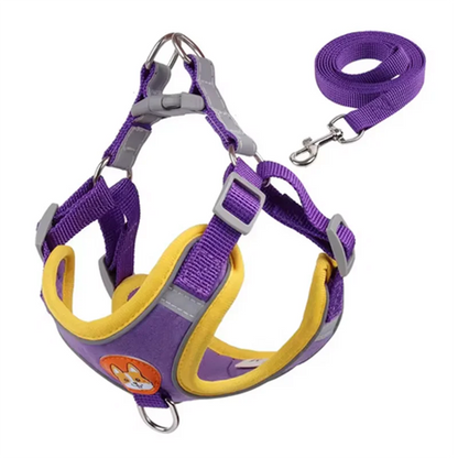 Adjustable Dog Harness Leash Set