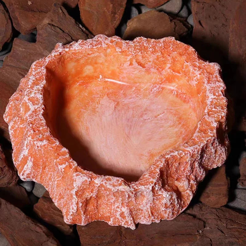 Pet Reptile Feeder Bowl Resin Aquarium Basin Food Water Pot Reptile Turtle Tortoise Scorpion Lizard Crabs Supplies Dropshipping