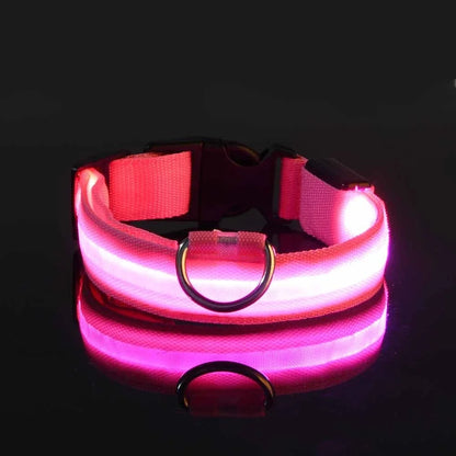 LED Nylon Collar