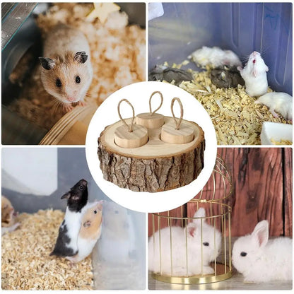 Hamster Enrichment Foraging Toys Wooden Snuffle Rabbit Toy Wooden Interactive Enrichment Treat Dispenser For Gerbils Rats