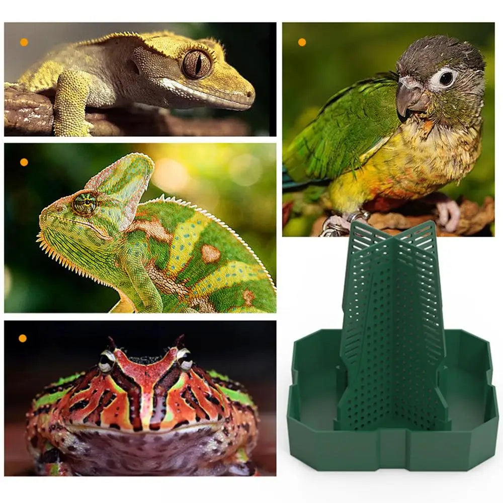 Bearded Dragon Feeder Chameleon Feeder Tank And Aquarium Accessories Professional Live Worm Organizer Anti-Escape Superworm